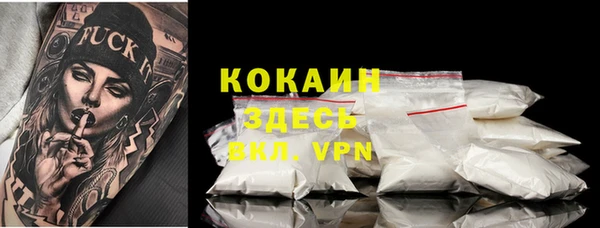 шишки Балахна