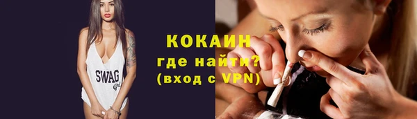 шишки Балахна