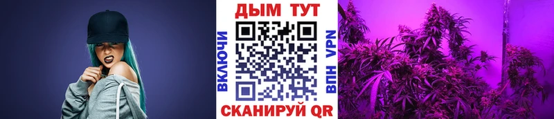 где купить наркоту  Морозовск  Канабис планчик 